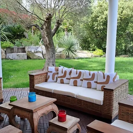 Villa Palmier Avec Piscine Chauffee Privee Proche D'uzes Et Anduze Cannes-et-Clairan