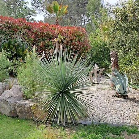Palmier Avec Piscine Chauffee Privee Proche D'uzes Et Anduze Cannes-et-Clairan